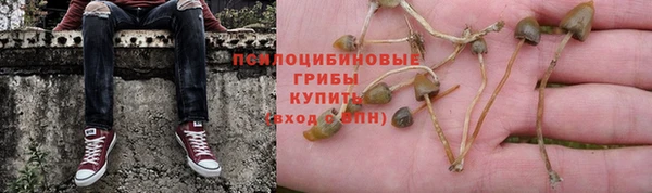 молекула духа Майский