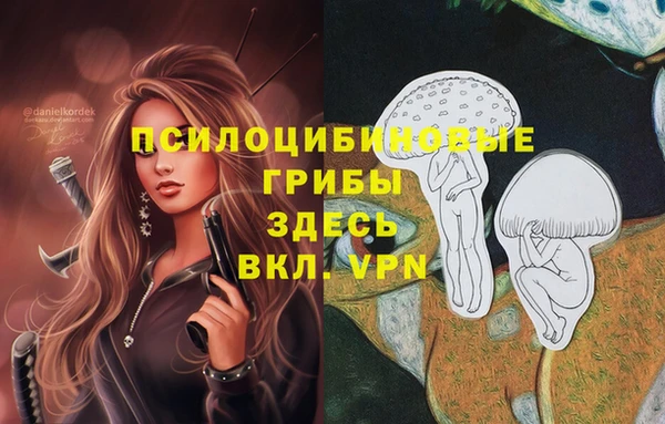 молекула духа Майский