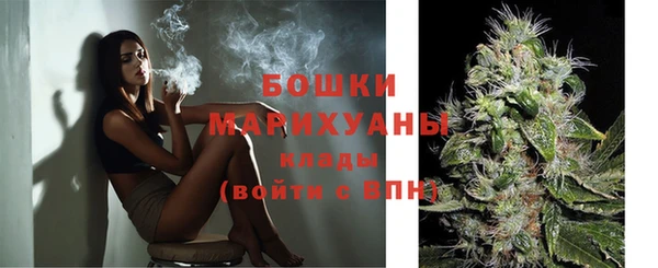 молекула духа Майский
