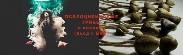 молекула духа Майский