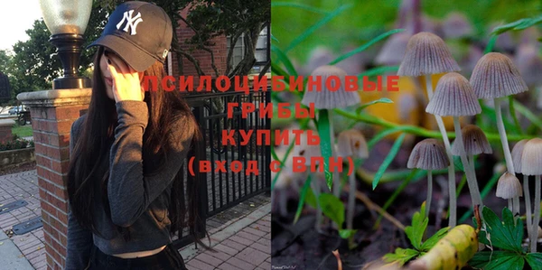 спайс Магас