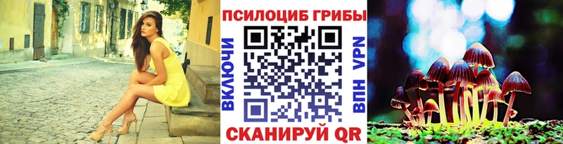 Псилоцибиновые грибы Magic Shrooms  Купить закладки  Болохово 